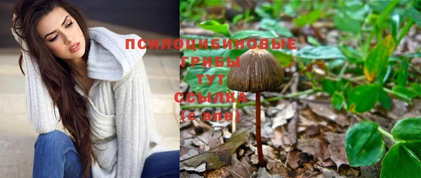 шишки Армянск